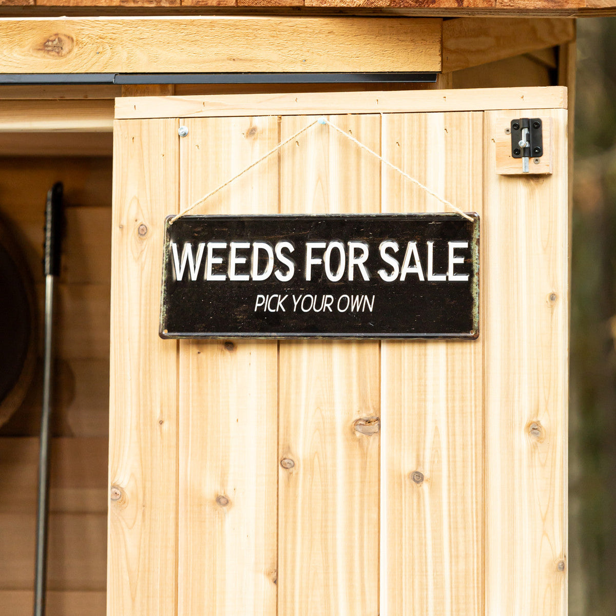 6' x 3' Patio Garden Shed