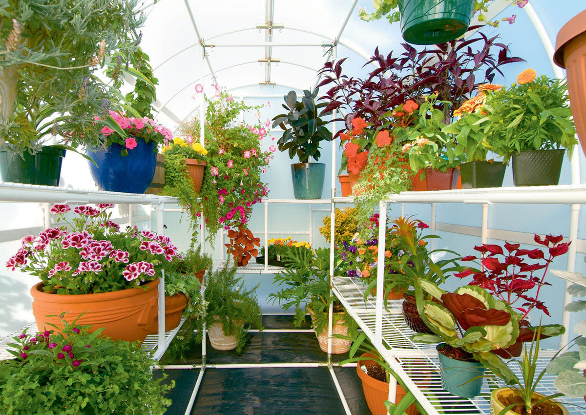 Solexx Gardener’s Oasis Greenhouse Kit